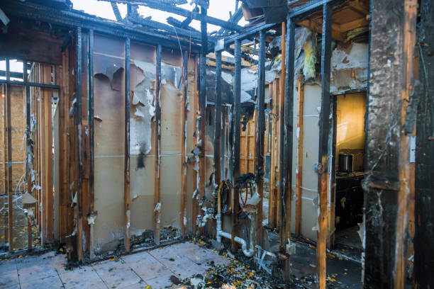 Professional Structural Rebuild technician working in Parkville, MD